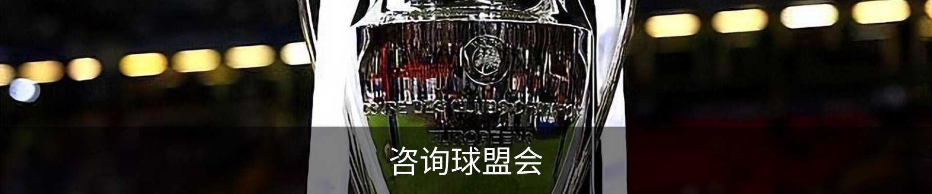 咨询球盟会